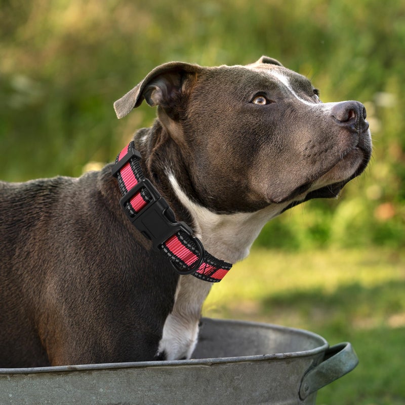 Mile High Life Dog Collar | Nylon Reflective Dog Collars | Light Weight Puppy Collars | Red Dog Collars for Small Dogs (Red, Small) - Image 2